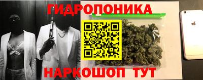 дурь Гай