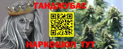 гидра Гагарин