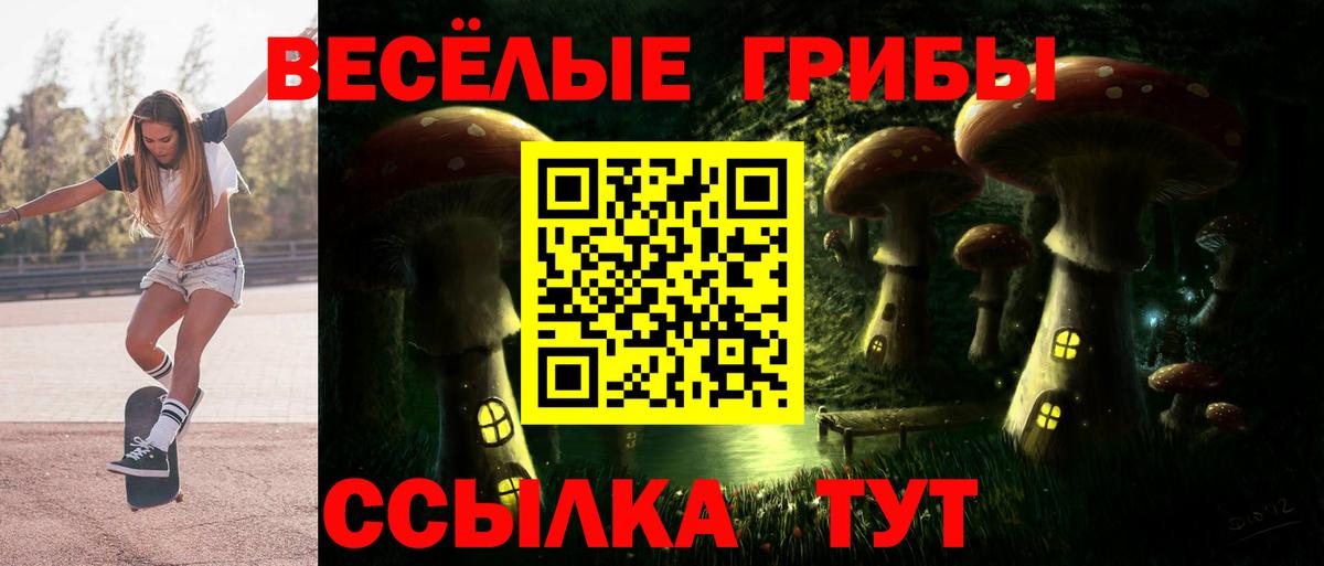 Галлюциногенные грибы мицелий  Вход с VPN  продажа наркотиков  Галлюциногенные грибы прущие грибы  Мценск 